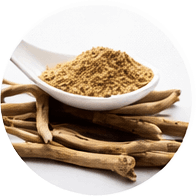 Quietum Plus-Aloe Vera